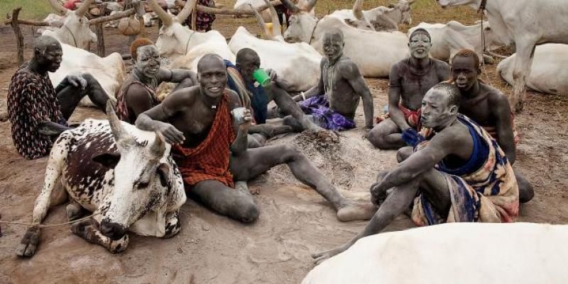 sudan-alt2-main-image_fe.jpg