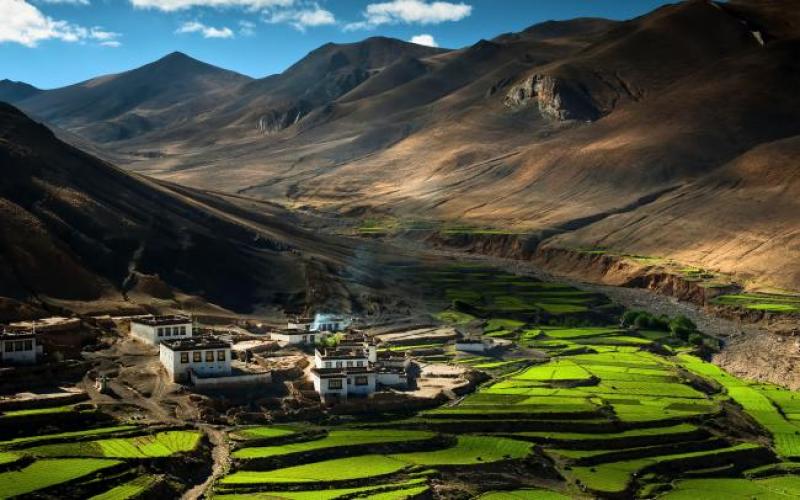 tibet-013.jpg