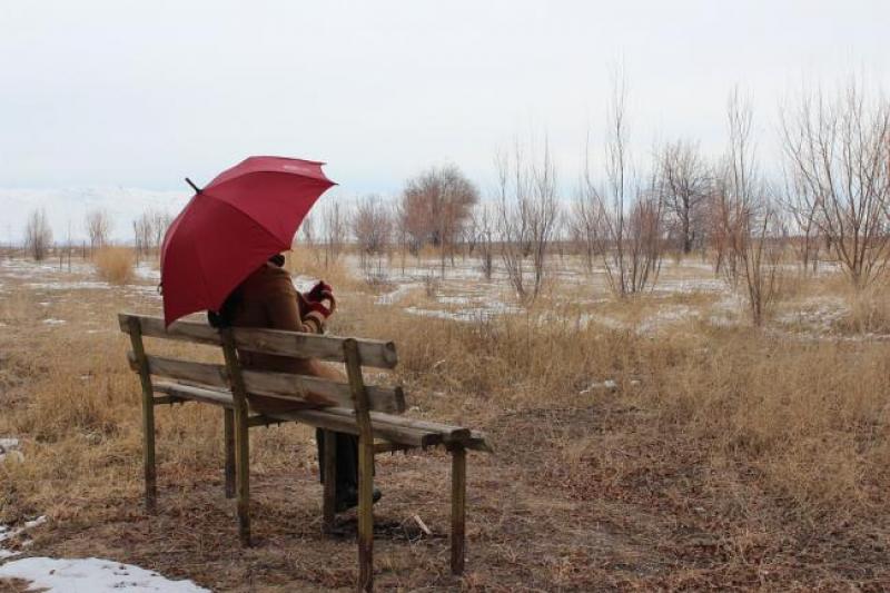 umbrella-2073654_960_720.jpg