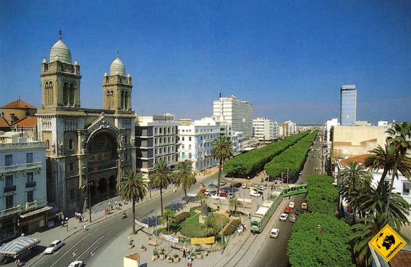 Tunus Şehri - Tunus | Gezimanya