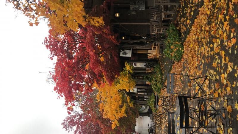 Bainbridge Adası kafelerinden biri