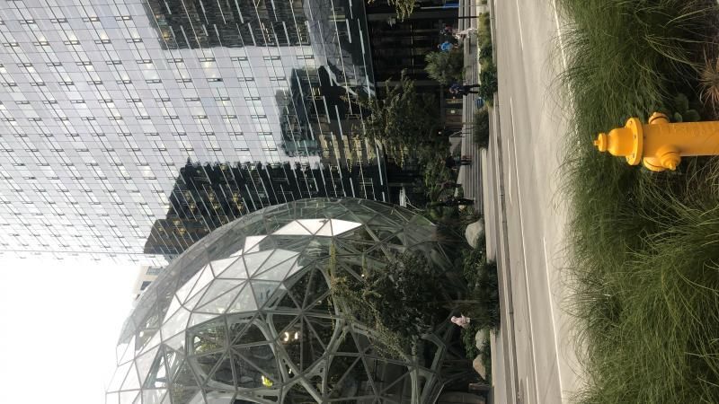 Amazon Merkez Binası Küreleri