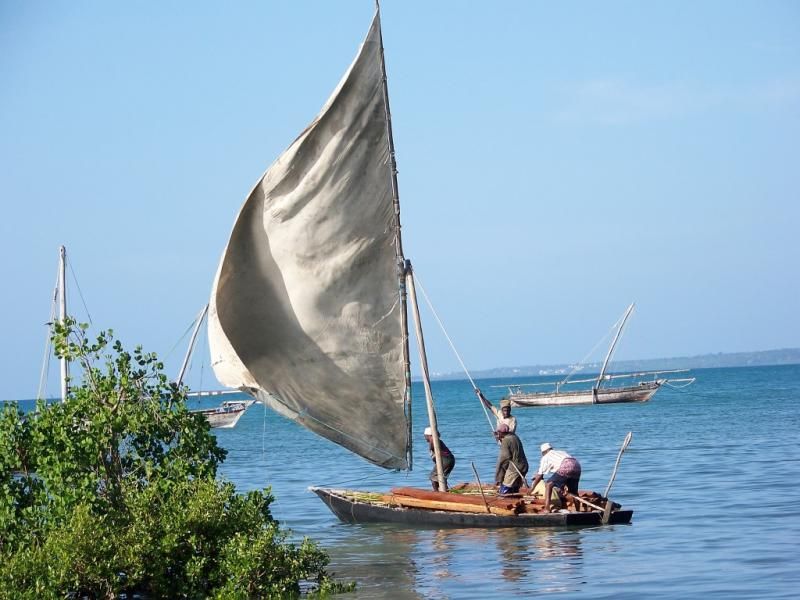 Figen G. Letaconnoux: "Afrika benim için, yerleşip içinde yaşamaya başlayana kadar tam bir muammaydı..."
