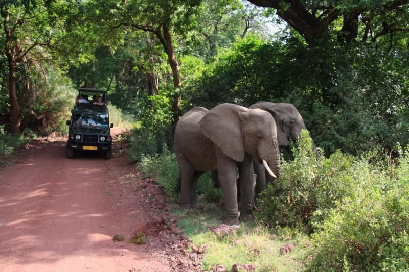 Figen G. Letaconnoux: "Afrika benim için, yerleşip içinde yaşamaya başlayana kadar tam bir muammaydı..."