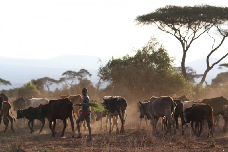 Figen G. Letaconnoux: "Afrika benim için, yerleşip içinde yaşamaya başlayana kadar tam bir muammaydı..."