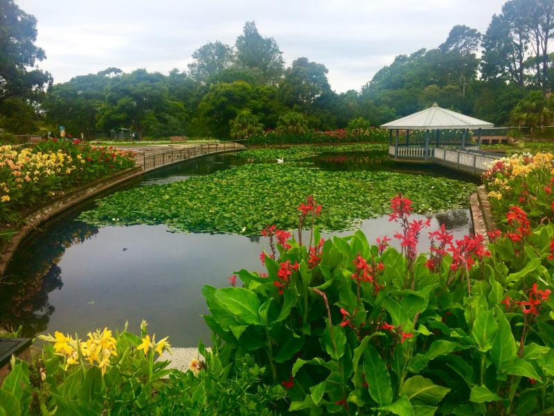Uzaktaki Minik Kız: "Ülkesini çok seven ve özleyen yine de bu hayat tecrübesini yaşamlarına eklemek isteyen iki insan olarak kendimizi Avustralya’da bulduk."