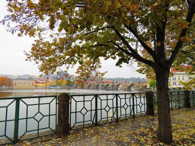 Nilay Aygün İçli: “Prag gerçekten güzel bir şehir ve ekonomik olarak da gayet uygun”