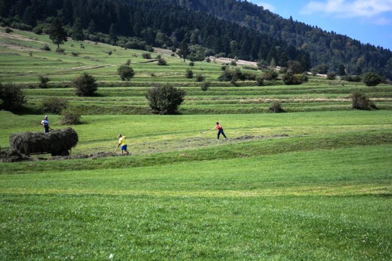 Banu Demir: “Romanya pek tanınmıyor dolayısıyla beklentileri çok düşük olarak bu ülkeye gelenler, tek kelime ile hayran kalıyorlar”