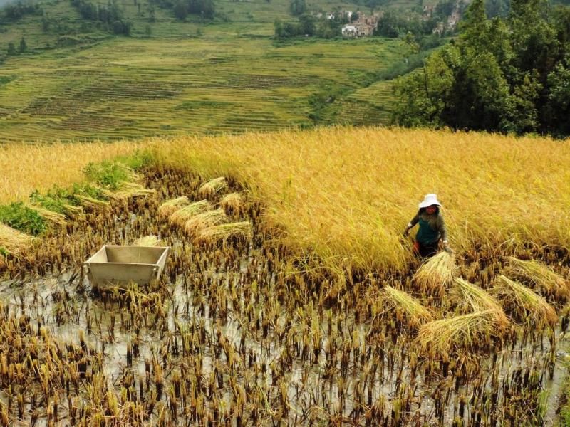 Banu Tunçer & Ferda Tangüner: “Dünya turuna karar vermek, dünya turu yapmaktan daha zor”