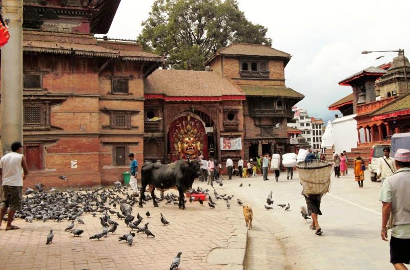 Gülfer Duran Kanlı: “Kahveyi çok sevdiğimden ve muhtemelen her yazımı da kahve içerek yazdığımdan kahveci gezgin oluverdim”