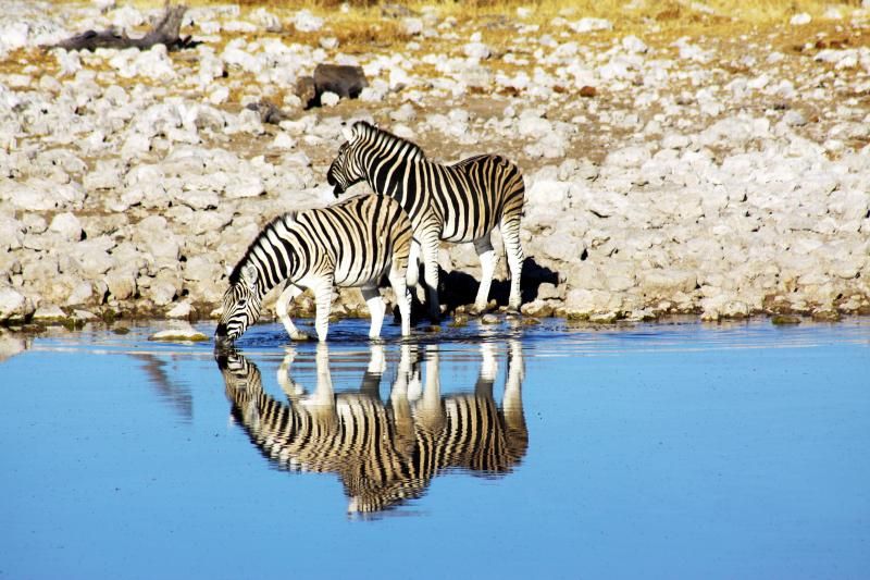 İbrahim Temo:"Sizden binlerce kilometre ötede insanlar var, sizin gibi nefes alıyorlar, sabah uyanıyorlar, akşam uyuyorlar ama bu hayatı sizden farklı yaşıyorlar. "