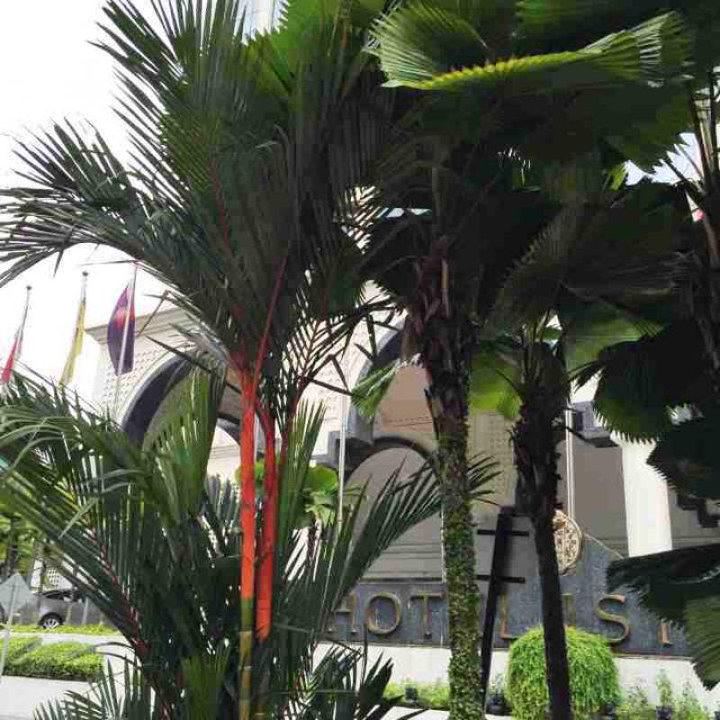 Elif Özgen: “İnsan gittiği yerdeki hayatları anladıkça, kendisinden farklı olana hoşgörüsü de artıyor”