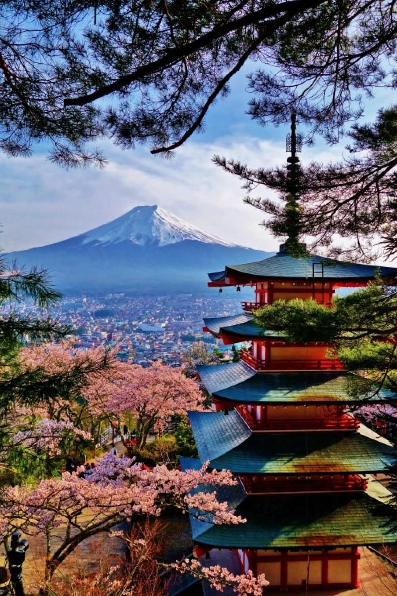 Ekin Başalp: “Tokyo, düzen imparatorluğunun başkenti olsa da araya serpiştirilmiş ufak kaosların ve yaramazlıkların hayata esas rengini verdiği bir şehir”