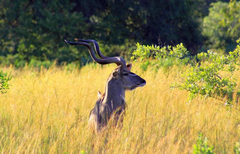 İbrahim Temo:"Sizden binlerce kilometre ötede insanlar var, sizin gibi nefes alıyorlar, sabah uyanıyorlar, akşam uyuyorlar ama bu hayatı sizden farklı yaşıyorlar. "
