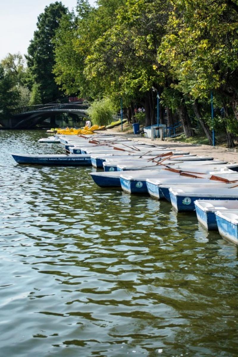 Banu Demir: “Romanya pek tanınmıyor dolayısıyla beklentileri çok düşük olarak bu ülkeye gelenler, tek kelime ile hayran kalıyorlar”