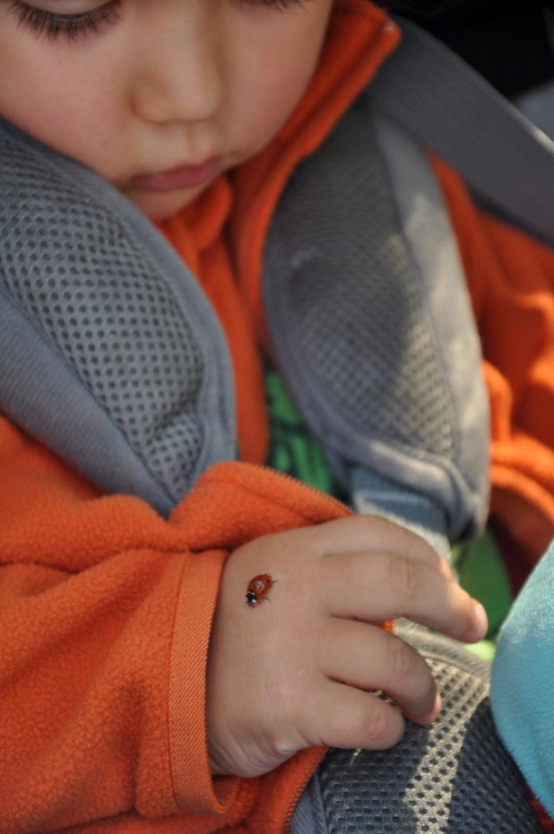 İnci & Soner Sarıhan: “Küresel ısınma tehlikesine dikkat çekmek ve bisiklet kültürünün ülkemizde de gelişebilmesi için yolculuklarımızı önemli bir adım olarak görüyoruz”