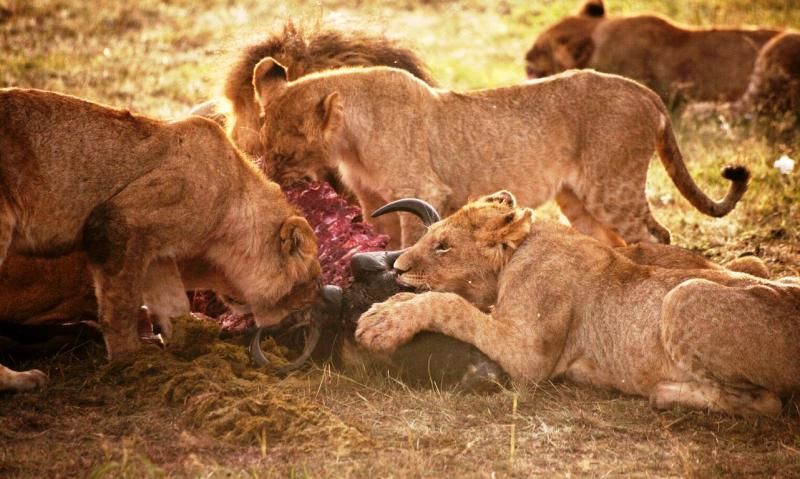 Fatoş Pur: “Dünyamızdaki güzelliklere, gezdikçe ve gördükçe daha da aşık oluyorum ve bu güzellikleri de yazı ve fotoğraf ile paylaşmaya çalışıyorum”