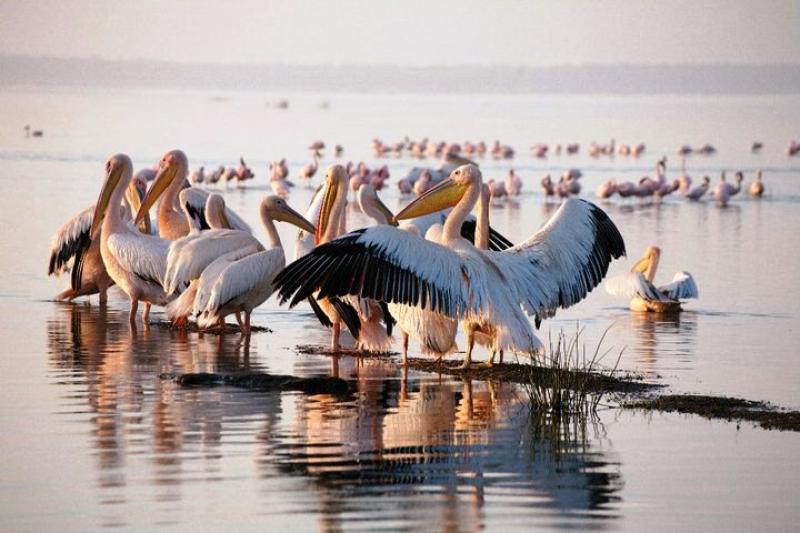 Fatoş Pur: “Dünyamızdaki güzelliklere, gezdikçe ve gördükçe daha da aşık oluyorum ve bu güzellikleri de yazı ve fotoğraf ile paylaşmaya çalışıyorum”