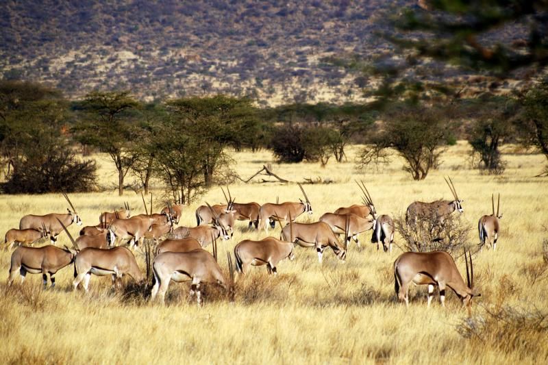 İbrahim Temo:"Sizden binlerce kilometre ötede insanlar var, sizin gibi nefes alıyorlar, sabah uyanıyorlar, akşam uyuyorlar ama bu hayatı sizden farklı yaşıyorlar. "