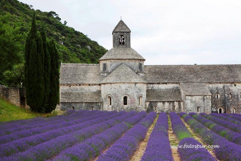 Fatoş Pur: “Dünyamızdaki güzelliklere, gezdikçe ve gördükçe daha da aşık oluyorum ve bu güzellikleri de yazı ve fotoğraf ile paylaşmaya çalışıyorum”
