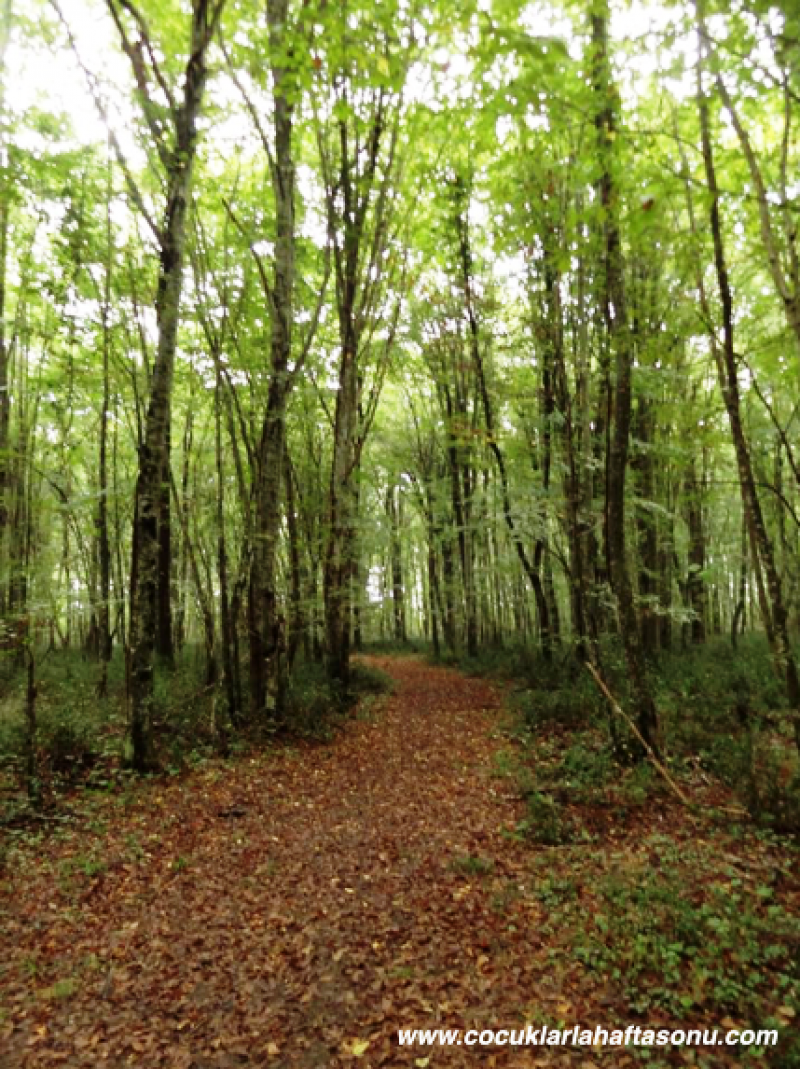 Özlem Onur Kurtuluş: “Hafta sonu çocuklarla gezmek, evde kalmaktan daha kolay”