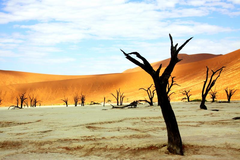 İbrahim Temo:"Sizden binlerce kilometre ötede insanlar var, sizin gibi nefes alıyorlar, sabah uyanıyorlar, akşam uyuyorlar ama bu hayatı sizden farklı yaşıyorlar. "