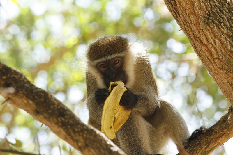 İbrahim Temo:"Sizden binlerce kilometre ötede insanlar var, sizin gibi nefes alıyorlar, sabah uyanıyorlar, akşam uyuyorlar ama bu hayatı sizden farklı yaşıyorlar. "
