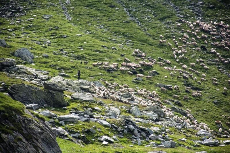 Banu Demir: “Romanya pek tanınmıyor dolayısıyla beklentileri çok düşük olarak bu ülkeye gelenler, tek kelime ile hayran kalıyorlar”