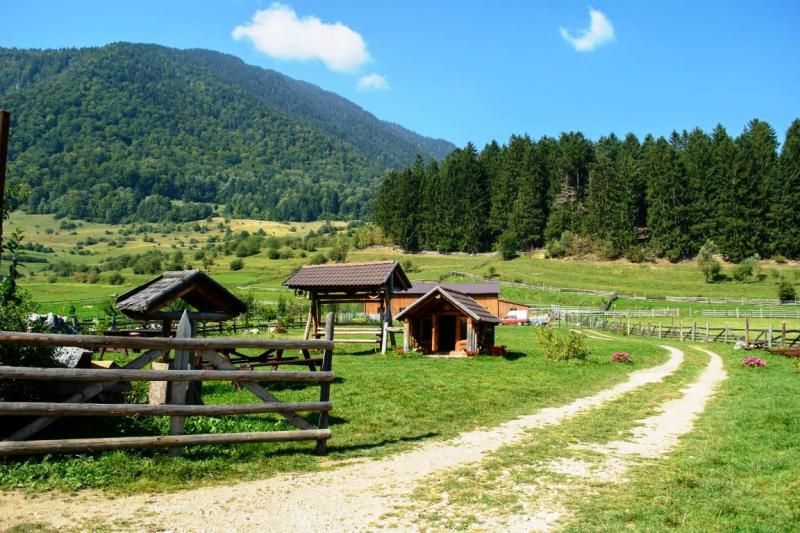 Banu Demir: “Romanya pek tanınmıyor dolayısıyla beklentileri çok düşük olarak bu ülkeye gelenler, tek kelime ile hayran kalıyorlar”