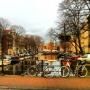 amsterdam.jpg 