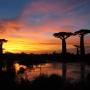 sunset_baobabs_madagascar.jpg 