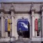 new york national history museum