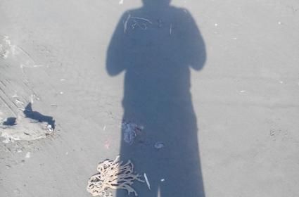 Paraparaumu Kapiti Coast 