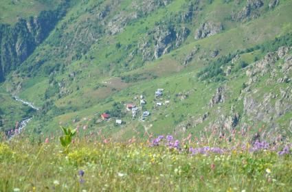 Çicek Yaylası - Rize 