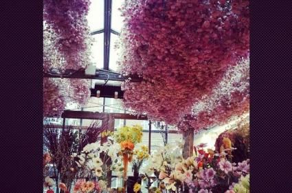 Çiçek Pazarı, Bloemenmarkt 