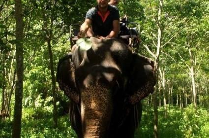 Tayland&#039;da Safari 