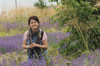 Provence, lavantaya dalan var... 