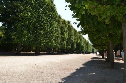 Schönbrunn Sarayı ve Bahçeleri 