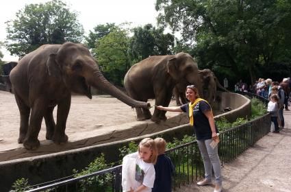 Ellerimle dünyanın en duygusal hayvanları olan &quot;filleri&quot; beslemek için Hamburg&#039;a ben de gittim : ) 