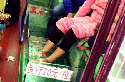 Çin&#039;in Hangzhou şehrinde rastlamış olduğum balıkla ayak tedavisi kişi başı 20 yuan, yaklaşık 8 TL 