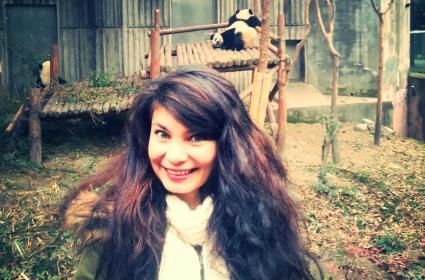 Çin&#039;in Sichuan eyaletindeki nesli tükenmekte olan pandaları ziyaret etmeden dönerseniz eğer o eyaleti ziyaret etmiş sayılmıyorsunuz :) 