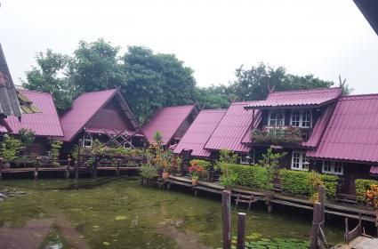 Tayland**Bangkok- Phuket** 