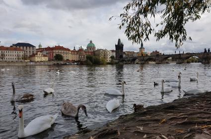 PRAG/ÇEK CUMHURİYETİ 