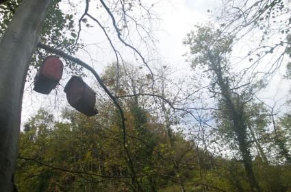 Karaaslan Tesisleri / Yuvacık 