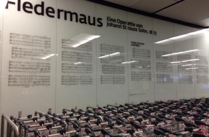 Welcome to Viyana (airport) 