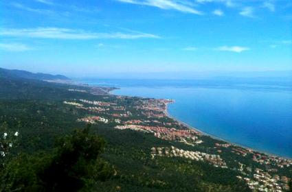 Zeus Altarı&#039;ndan 