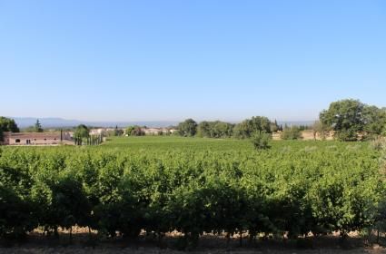Bordeaux, sakin ve huzurlu. Bence insan burada hiç yaşlanmaz. Yemyeşil bir doğası ve üzüm bağları ile bambaşka bir yer burası. Fransa&#039;da mutfak olarak en iyi bölge Lyon derler. Bana kalırsa Bordeaux da Lyon ile yarışır durumda, özellikle şarapları ile. 