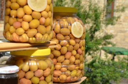 Yeşilyurt Köyü - Ayvacık 