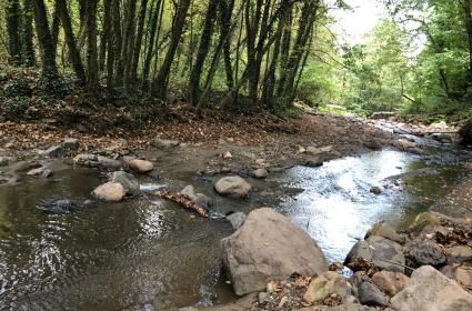 Kocaelini Daha Çok Sevmeniz İçin Gideceğiniz Yerler 