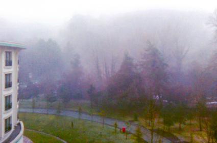 Bu sabah Sapanca&#039;yı sis taçlandırdı 